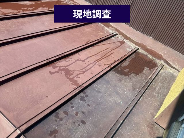 現地調査 