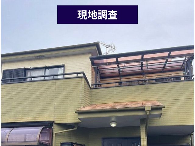 現地調査