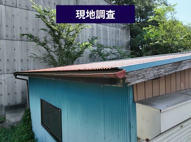 現地調査