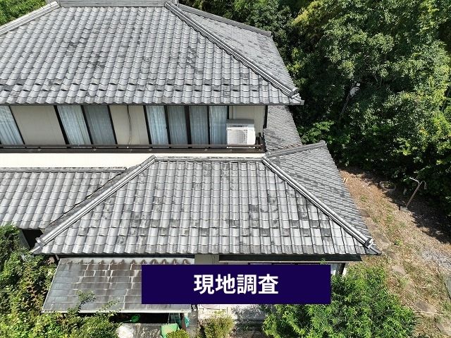 現地調査