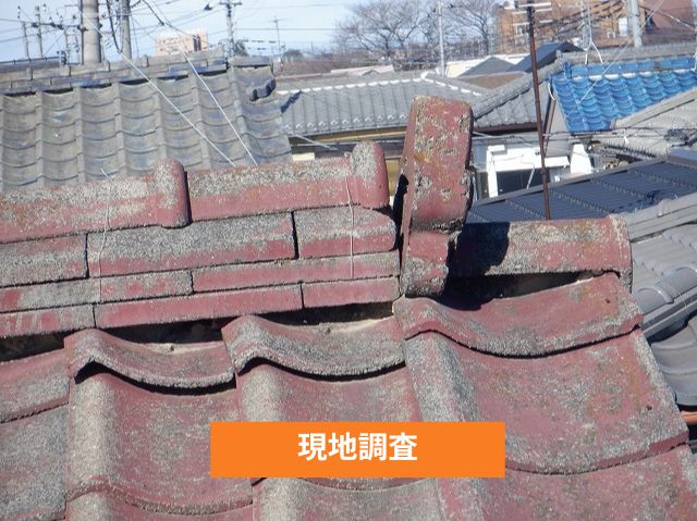 現地調査