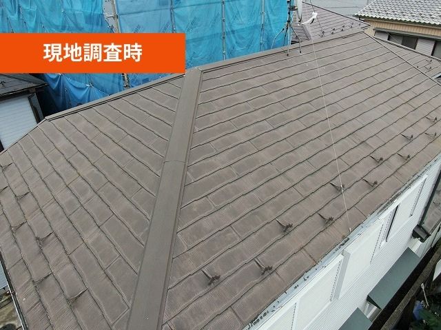 現地調査