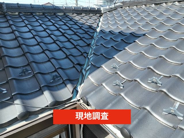 現地調査