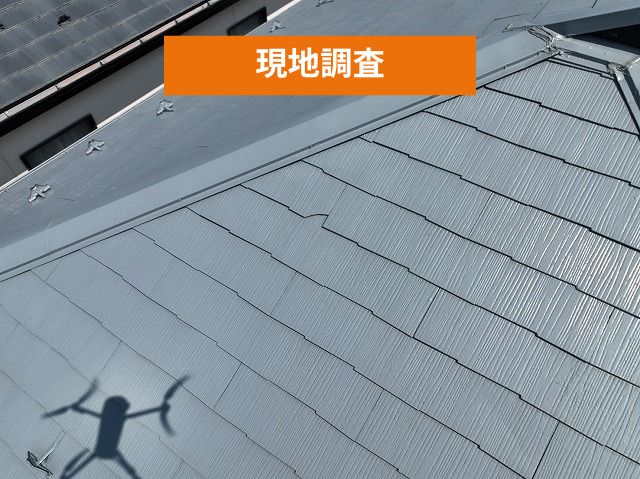 現地調査