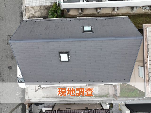 現地調査