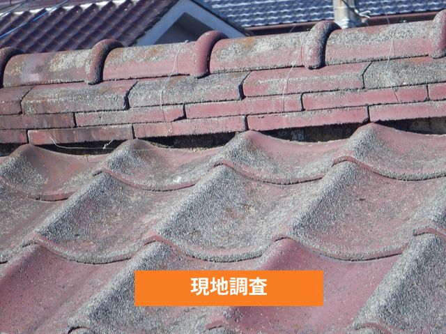 現地調査