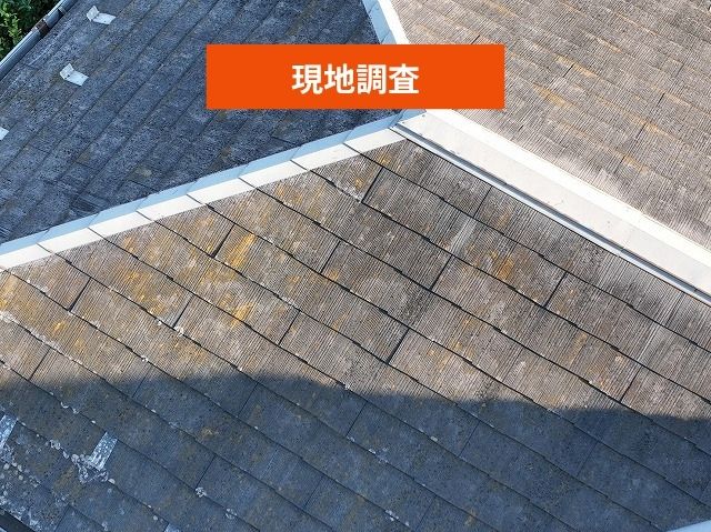 屋根現地調査