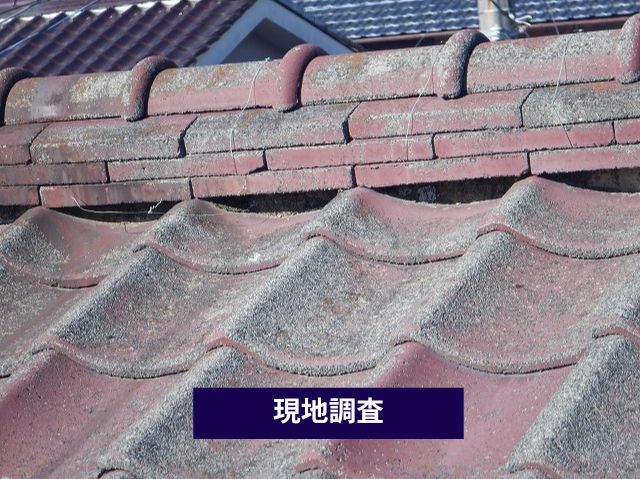 現地調査