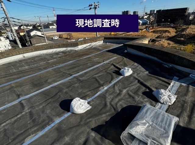 現地調査時