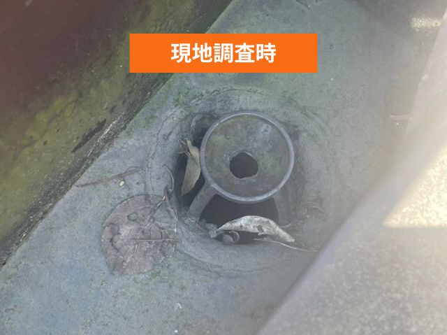 排水ドレン廻り