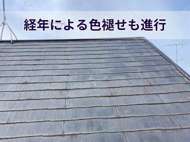 色褪せ
