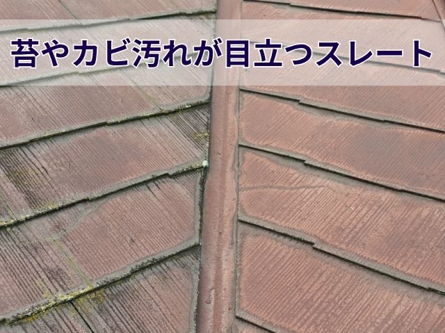 苔やカビ汚れが目立つスレート (2)