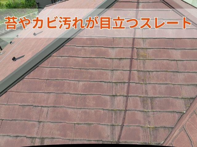 苔やカビ汚れが目立つスレート