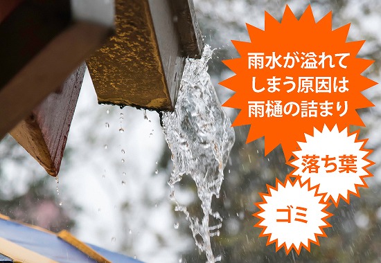 落ち葉雨樋詰まり