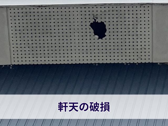 軒天の破損