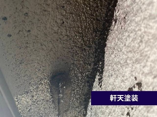 軒天塗装 