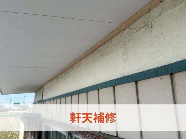 軒天補修
