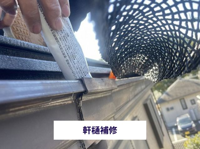 軒樋補修