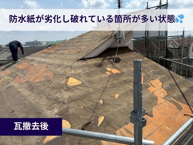 防水紙劣化