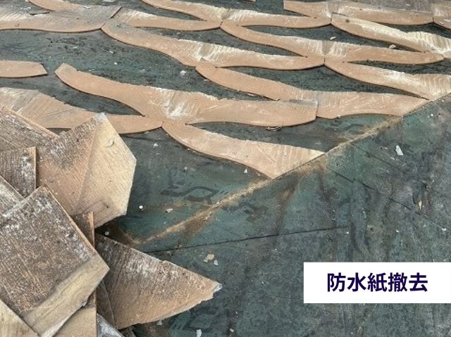 防水紙撤去