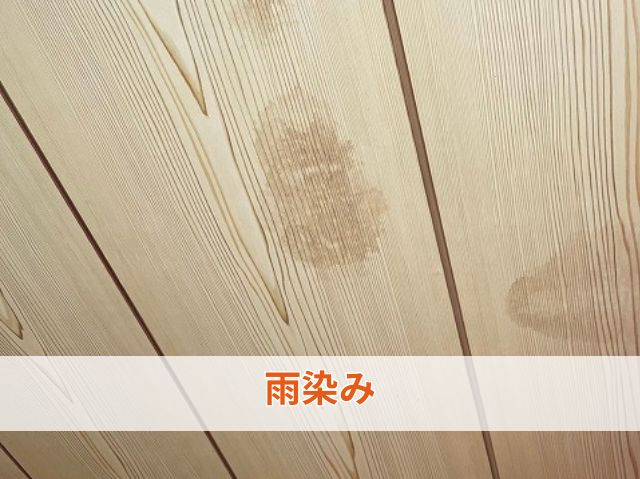 雨染み