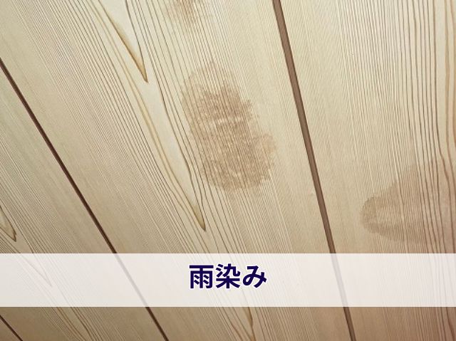 雨染み