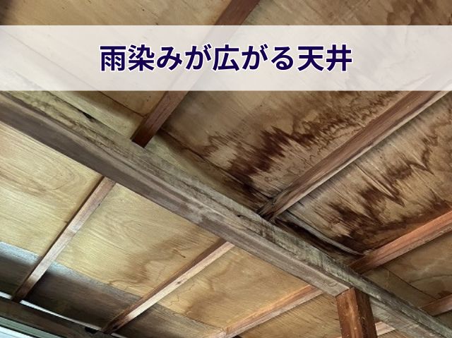 雨染みが広がる天井 (2)