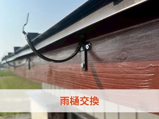 雨樋交換