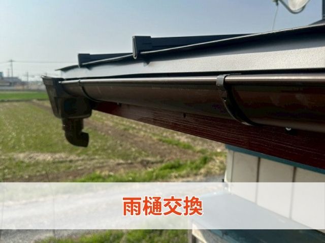 雨樋交換