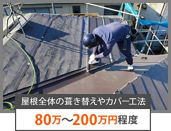 雨漏りカバー・葺き替え補修