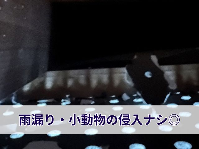 雨漏り・小動物の侵入ナシ