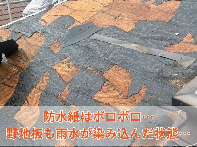 雨漏り屋根下の状況