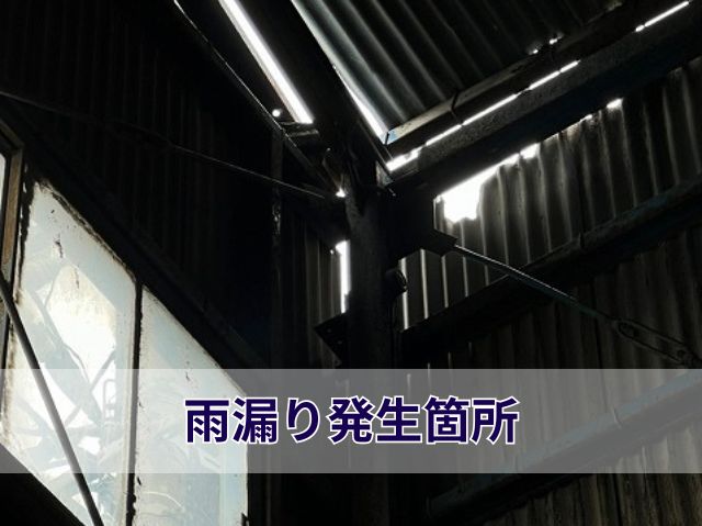 雨漏り発生箇所