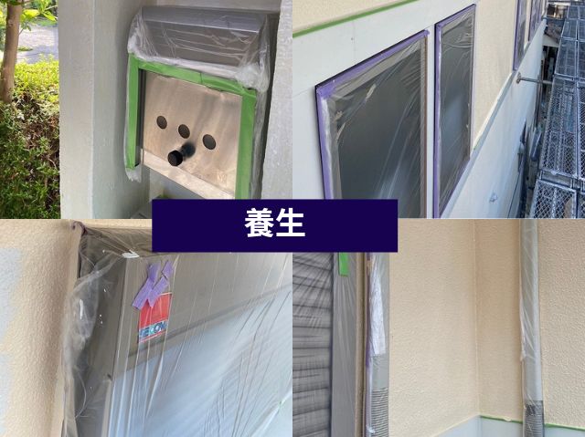 養生